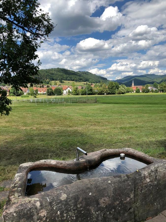 Ferienwohnung Am Gaessle Ettenheim Exteriér fotografie