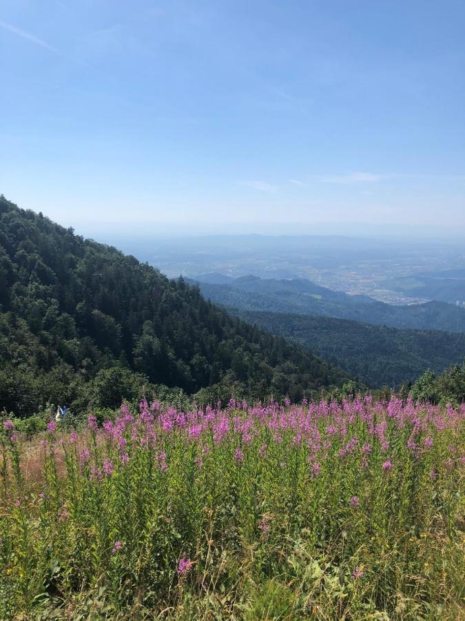Ferienwohnung Am Gaessle Ettenheim Exteriér fotografie