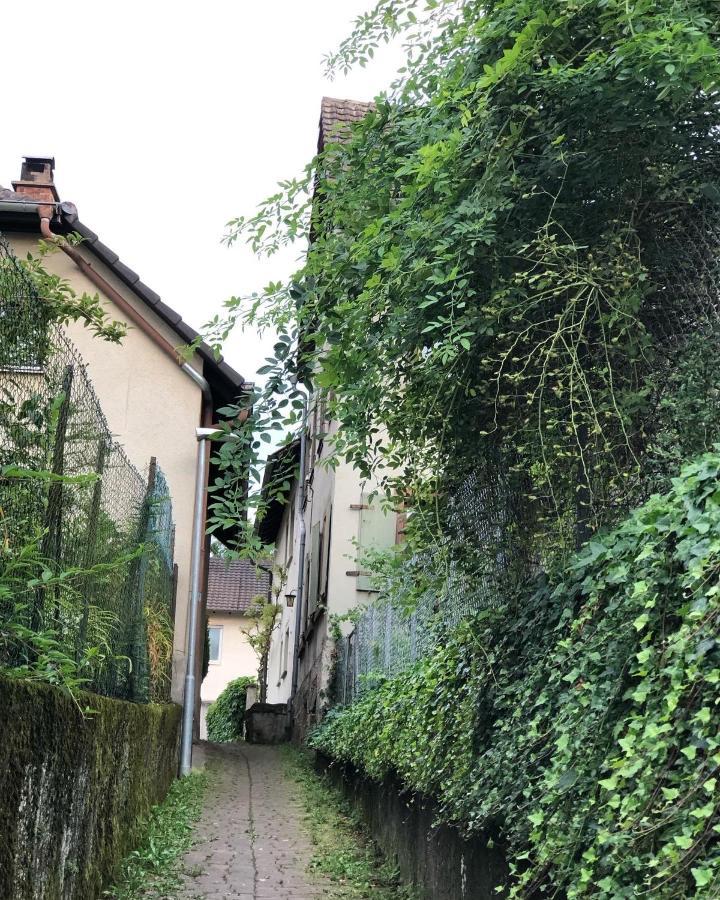 Ferienwohnung Am Gaessle Ettenheim Exteriér fotografie